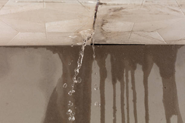 Professional Burst Pipe Cleanup technician working in Plano, KY
